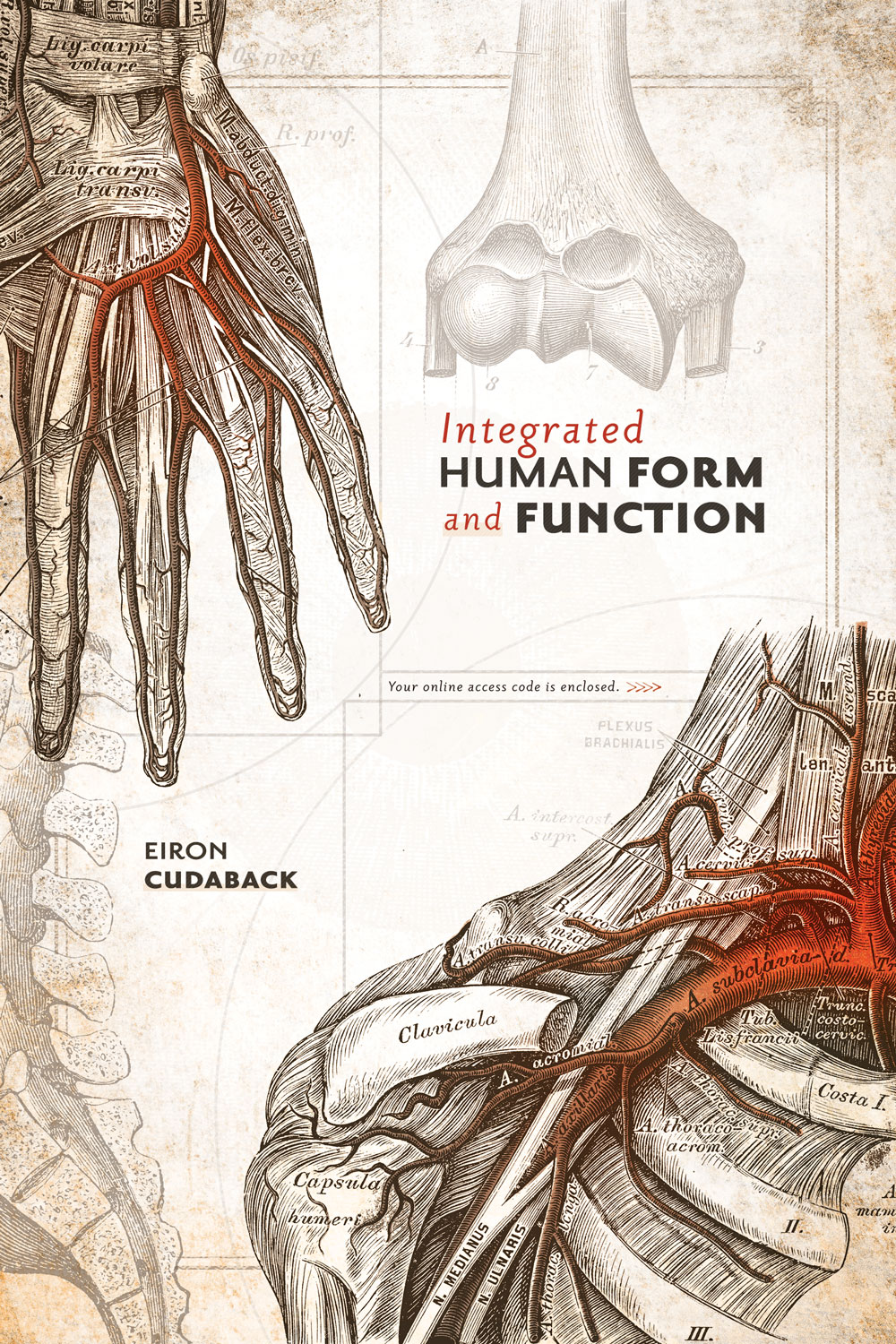 product-details-integrated-human-form-and-function-great-river-learning