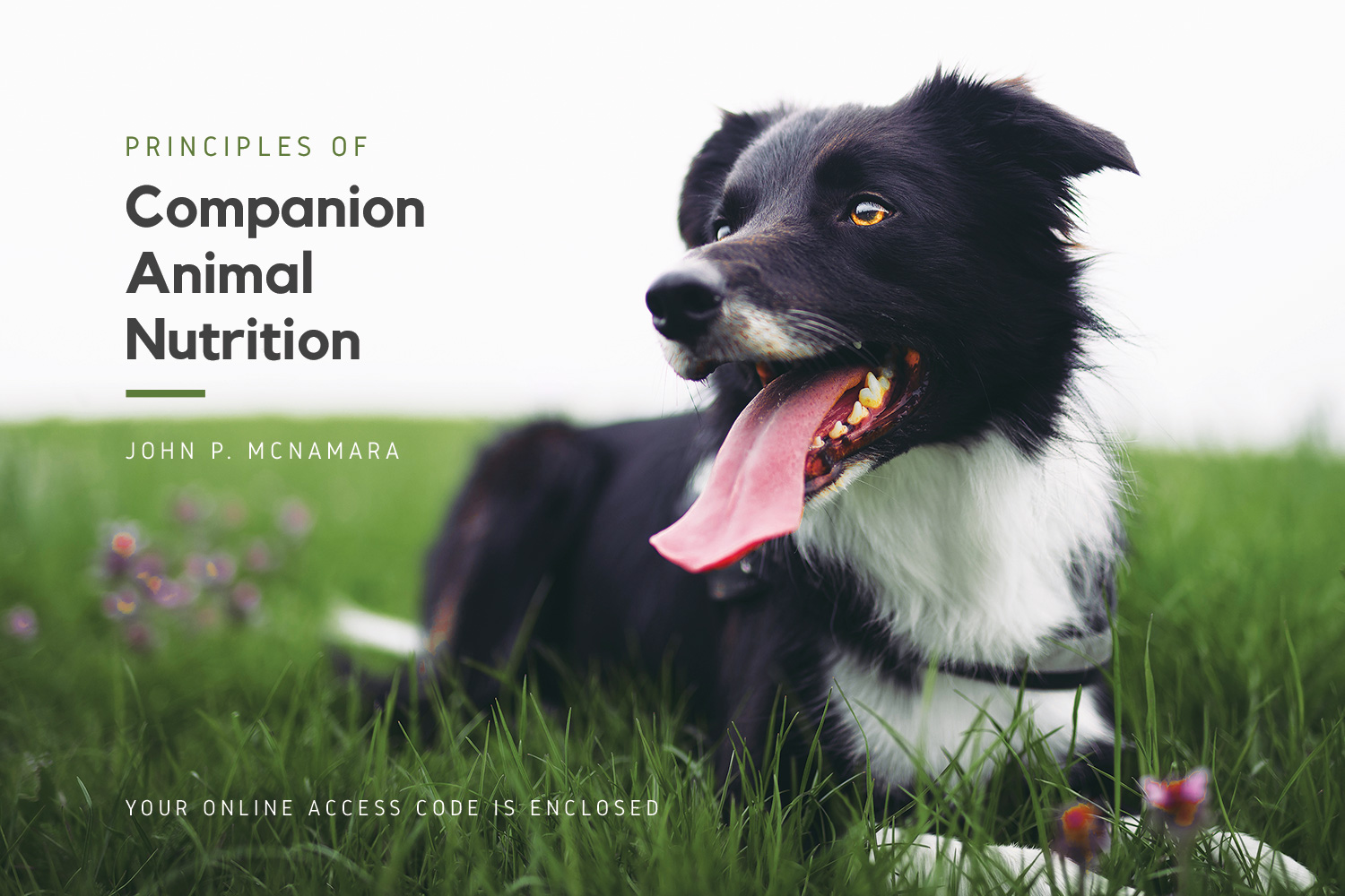 Principles of Companion Animal Nutrition 